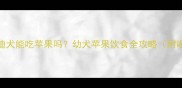 两月大泰迪犬能吃苹果吗幼犬苹果饮食全攻略附喂养指南