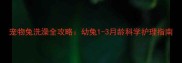 宠物兔洗澡全攻略幼兔1-3月龄科学护理指南