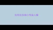 拉布拉多细小传染人嘛