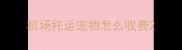 机场托运宠物怎么收费