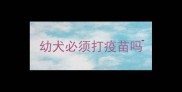 幼犬必须打疫苗吗