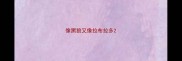 像黑狼又像拉布拉多