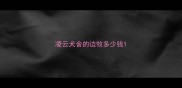 凌云犬舍的边牧多少钱