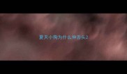 夏天小狗为什么伸舌头