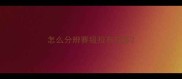 怎么分辨赛级拉布拉多