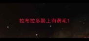 拉布拉多脸上有黄毛