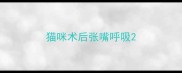 猫咪术后张嘴呼吸