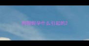 狗狗假孕什么引起的