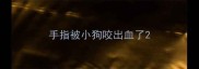 手指被小狗咬出血了