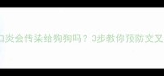 猫咪口炎会传染给狗狗吗3步教你预防交叉感染