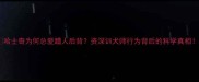 哈士奇为何总爱蹭人后背资深训犬师行为背后的科学真相