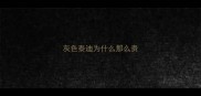 灰色泰迪为什么那么贵