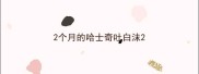 2个月的哈士奇吐白沫