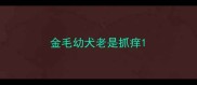金毛幼犬老是抓痒