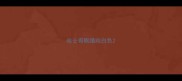 哈士奇眼睛纯白色