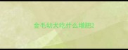 金毛幼犬吃什么增肥