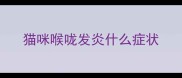 猫咪喉咙发炎什么症状