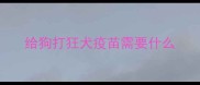 给狗打狂犬疫苗需要什么