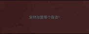 宠物加盟哪个靠谱