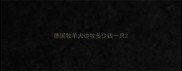德国牧羊犬边牧多少钱一只