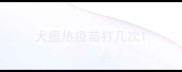 犬瘟热疫苗打几次