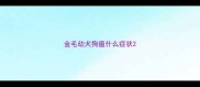 金毛幼犬狗瘟什么症状