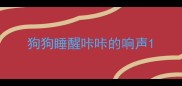 狗狗睡醒咔咔的响声
