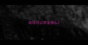 宾馆可以带宠物么