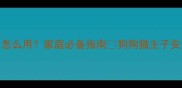 宠物消毒水怎么用家庭必备指南狗狗猫主子安全消毒全攻略