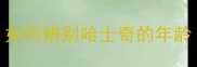 如何辨别哈士奇的年龄