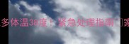 拉布拉多体温38度紧急处理指南家长必看