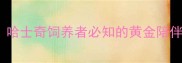每天陪伴2-3小时哈士奇饲养者必知的黄金陪伴时间指南推荐