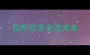 拉布拉多全国犬舍