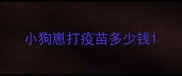 小狗崽打疫苗多少钱