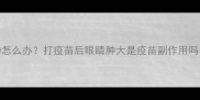 宠物疫苗后眼睛红肿怎么办打疫苗后眼睛肿大是疫苗副作用吗附详细处理指南