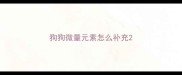 狗狗微量元素怎么补充