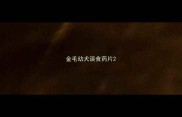 金毛幼犬误食药片