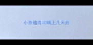 小泰迪得耳螨上几天药