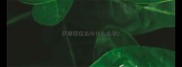 萨摩耶疫苗叫什么名字