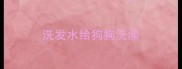 洗发水给狗狗洗澡