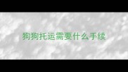 狗狗托运需要什么手续