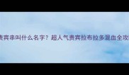 拉布拉多贵宾串叫什么名字超人气贵宾拉布拉多混血全攻略来了