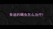 泰迪的螨虫怎么治疗