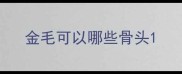 金毛可以哪些骨头
