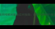 犬只夜间咳嗽的紧急应对指南症状与科学护理全攻略