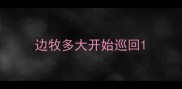 边牧多大开始巡回