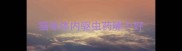 猫咪体内驱虫药哪个好