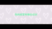 狗狗感冒有哪些症状