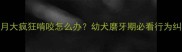 哈士奇2个月大疯狂啃咬怎么办幼犬磨牙期必看行为纠正指南
