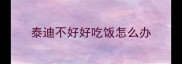 泰迪不好好吃饭怎么办